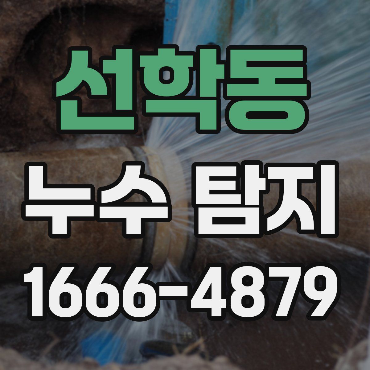 선학동 누수 탐지
