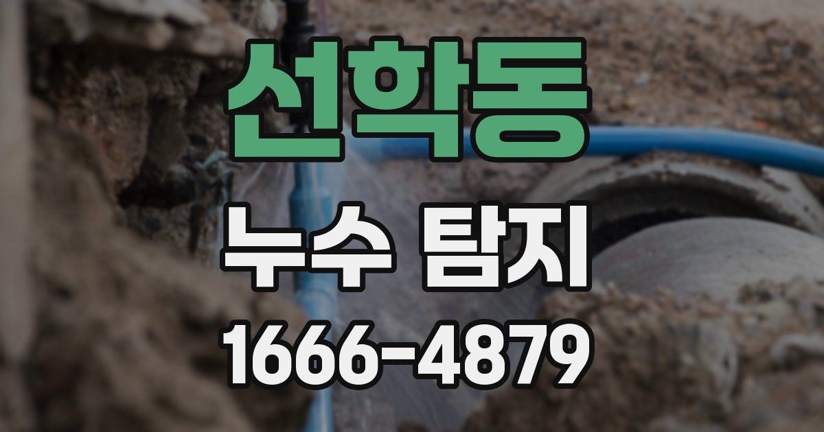 선학동 누수 탐지
