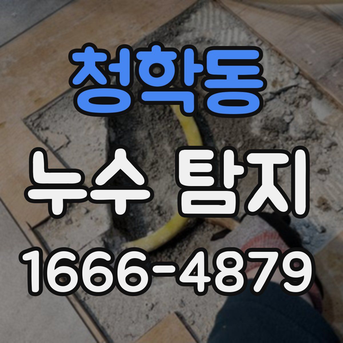 청학동 누수 탐지
