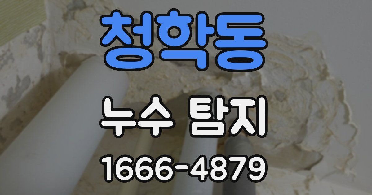 청학동 누수 탐지