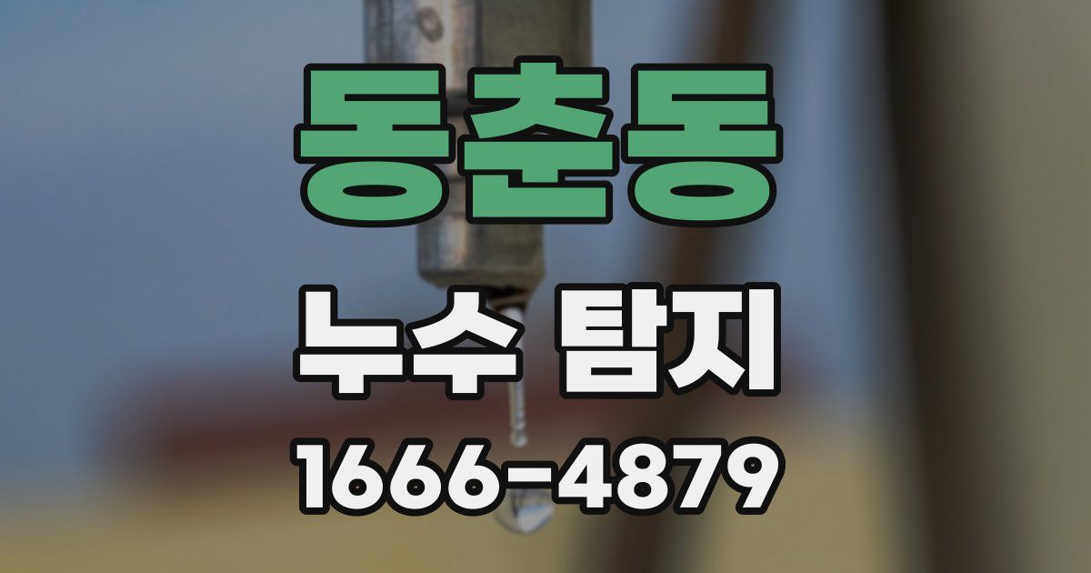 동춘동 누수 탐지