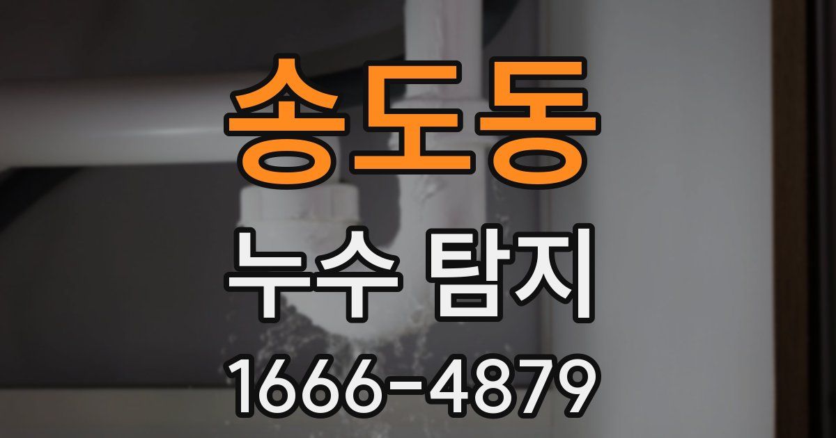 송도동 누수 탐지