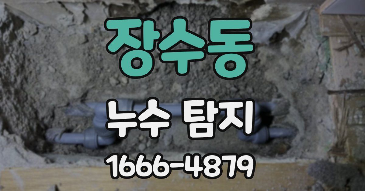 장수동 누수 탐지