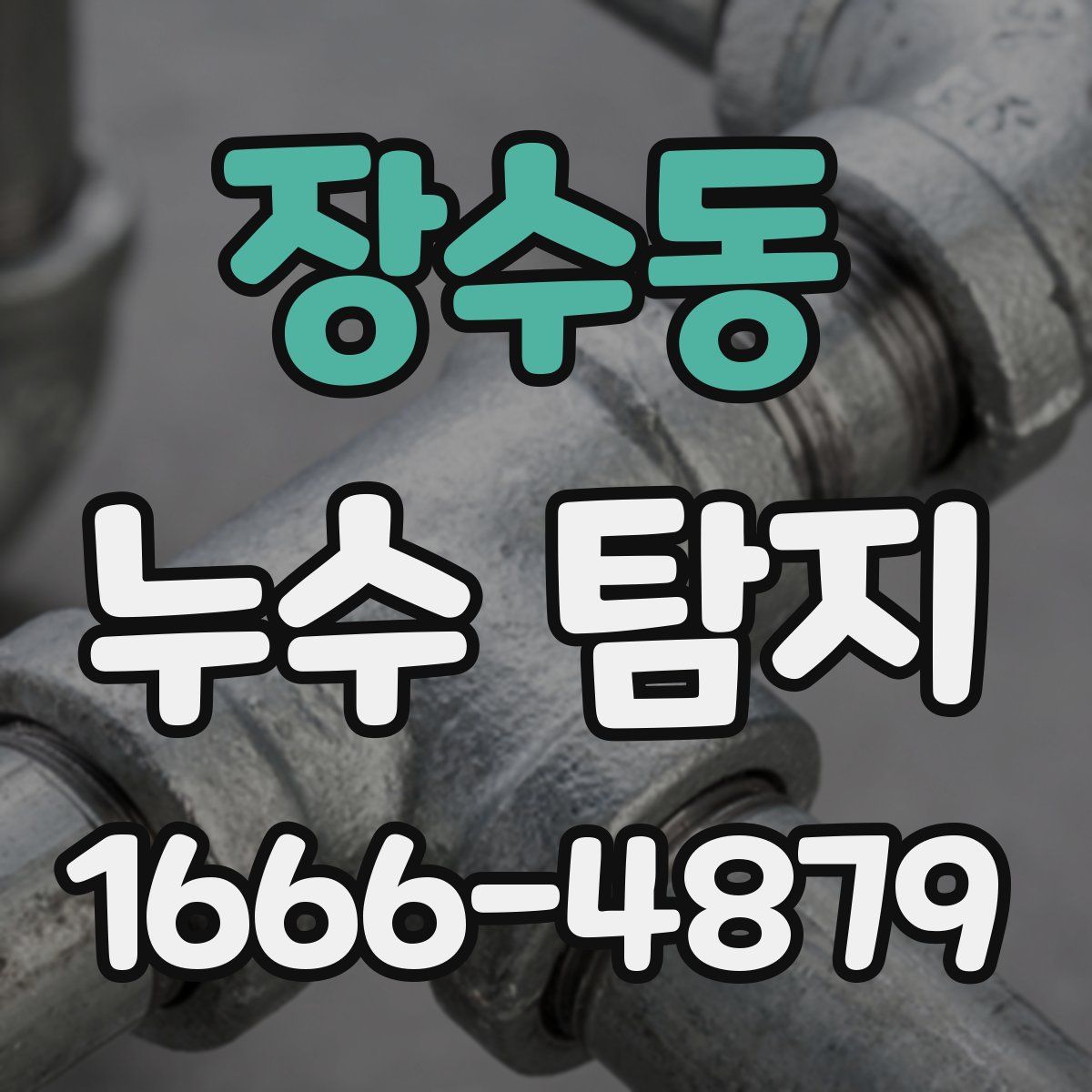 장수동 누수 탐지