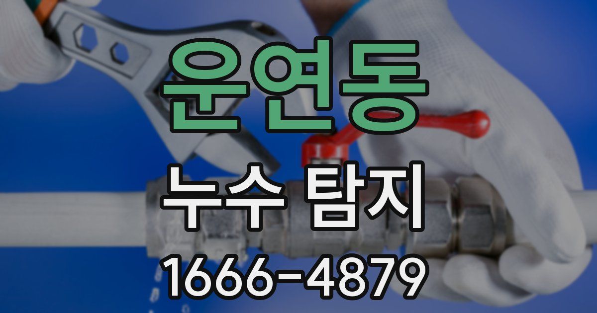운연동 누수 탐지