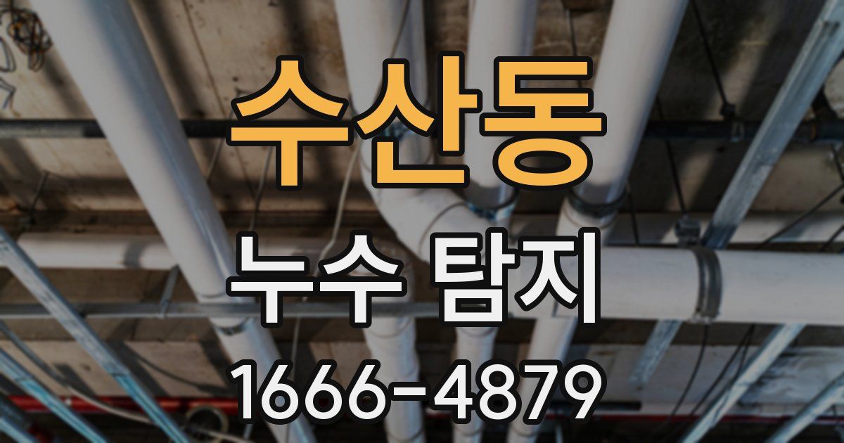 수산동 누수 탐지