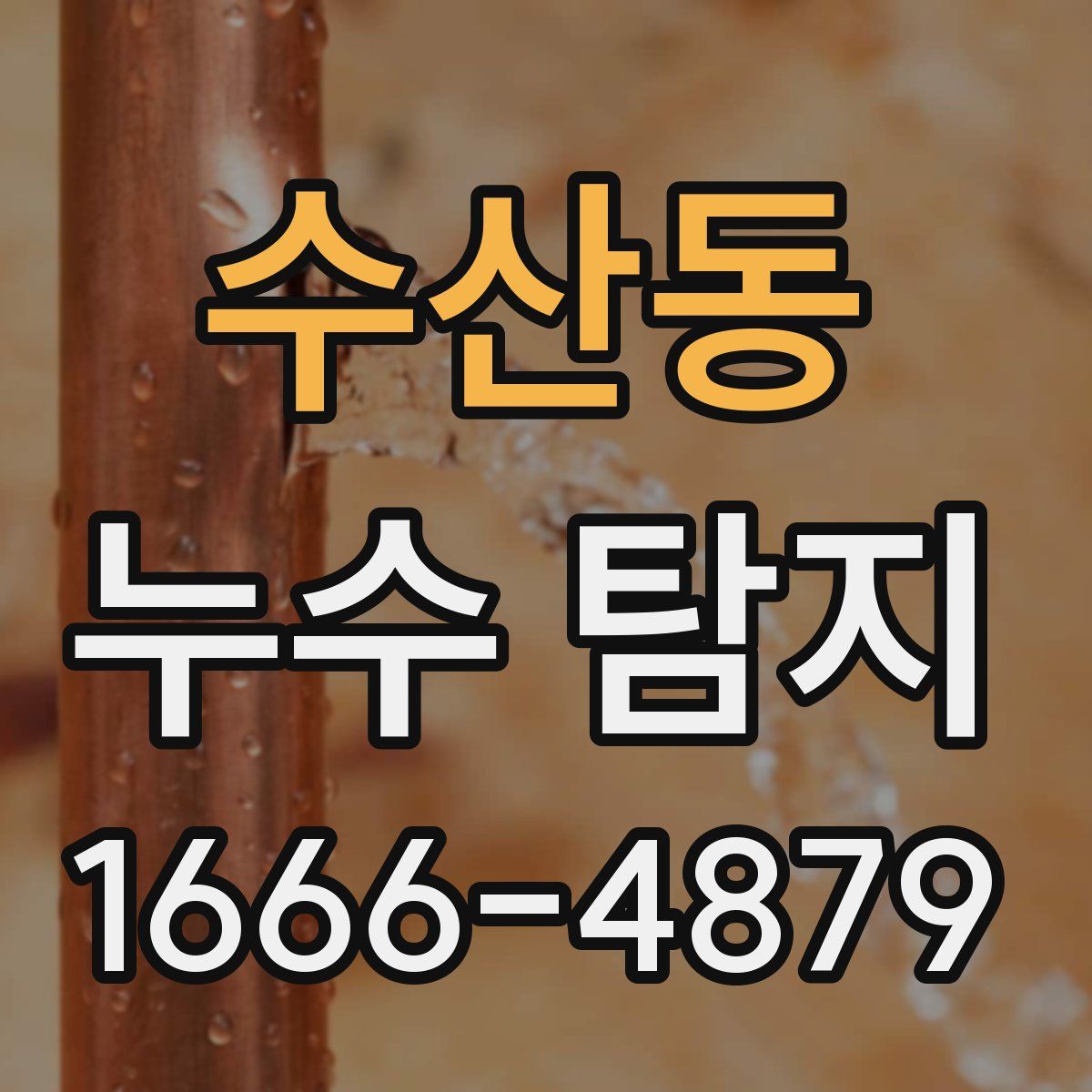 수산동 누수 탐지