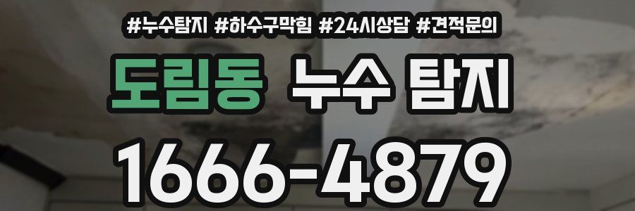 도림동 누수 탐지