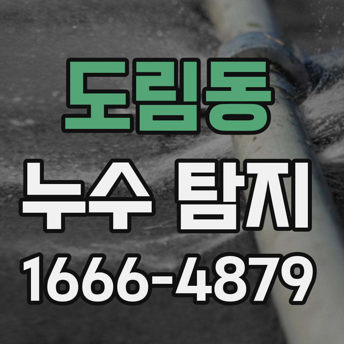 도림동 누수 탐지