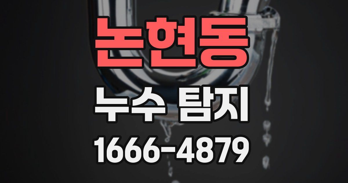 논현동 누수 탐지