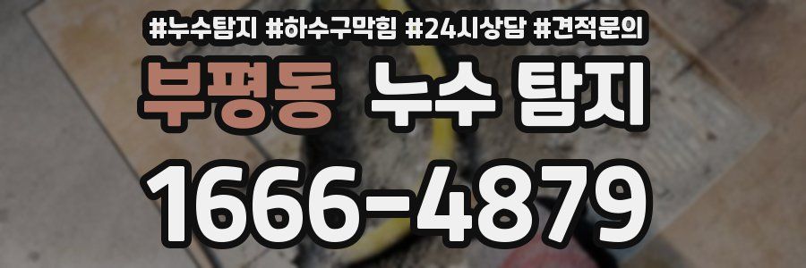 부평동 누수 탐지