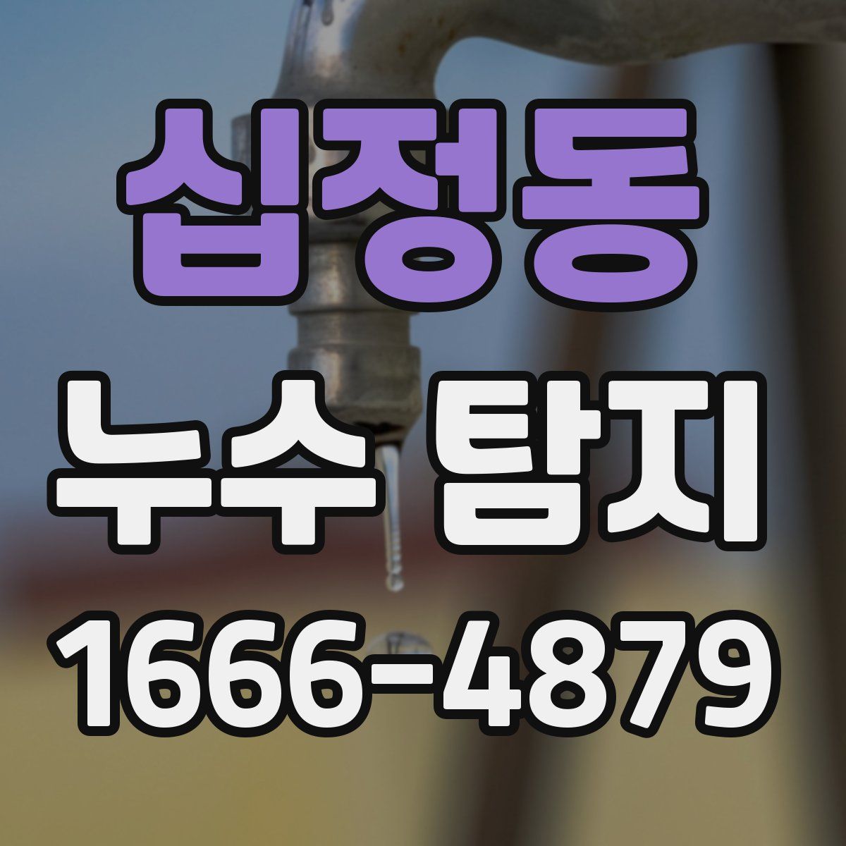 십정동 누수 탐지