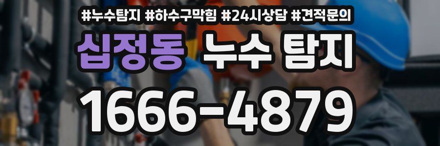 십정동 누수 탐지