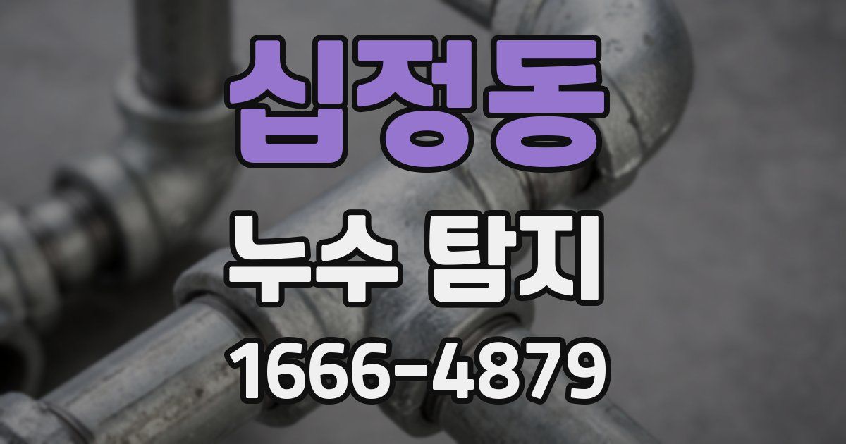 십정동 누수 탐지
