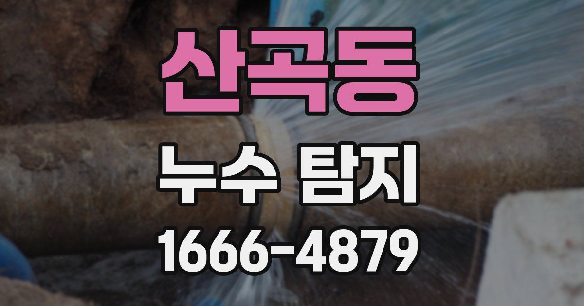 산곡동 누수 탐지