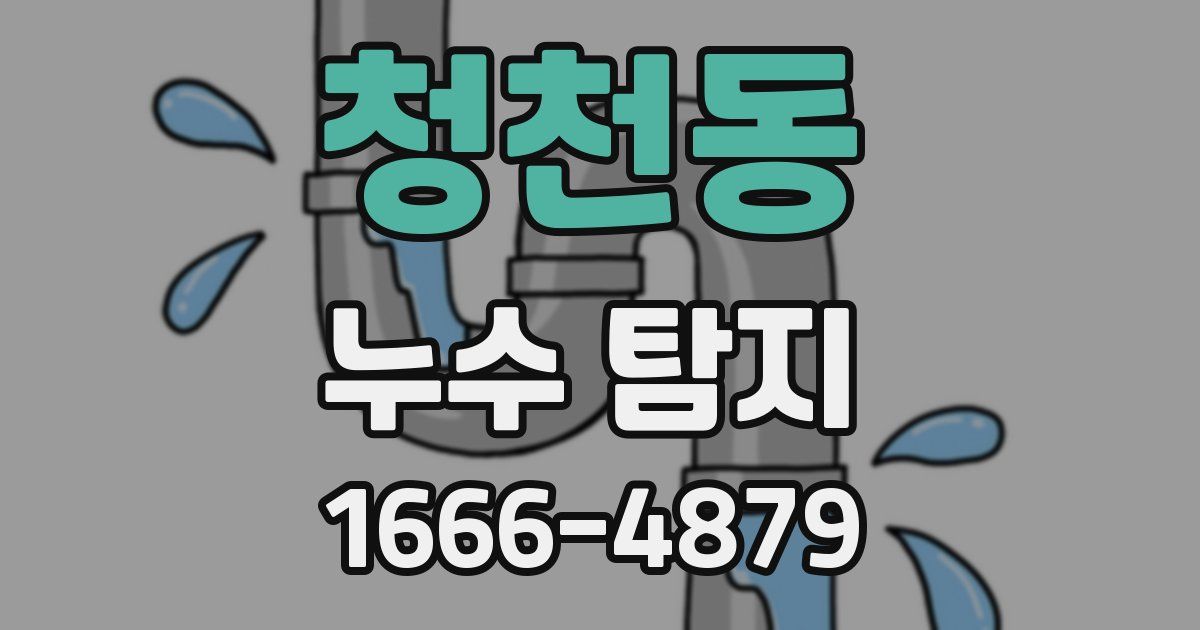 청천동 누수 탐지