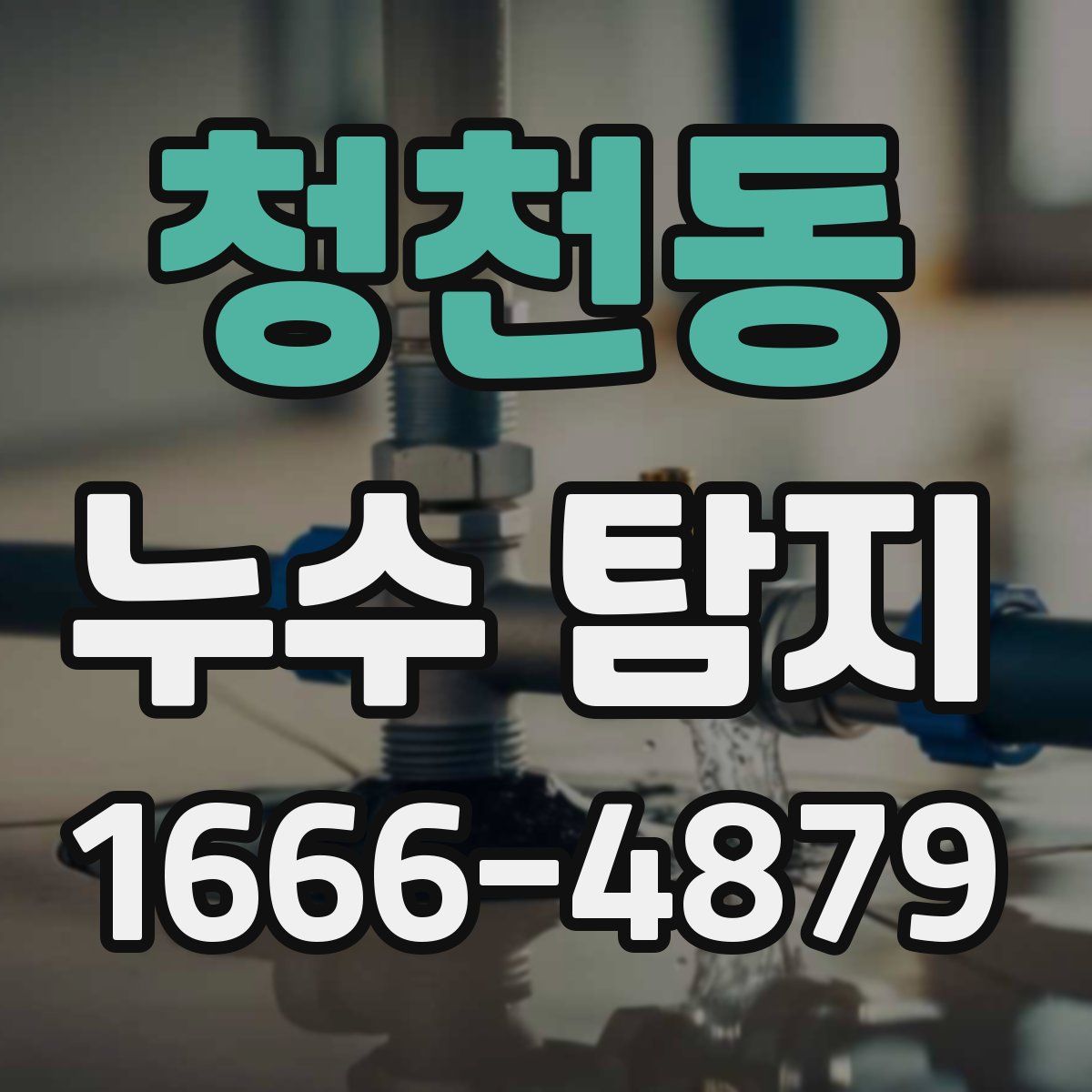 청천동 누수 탐지