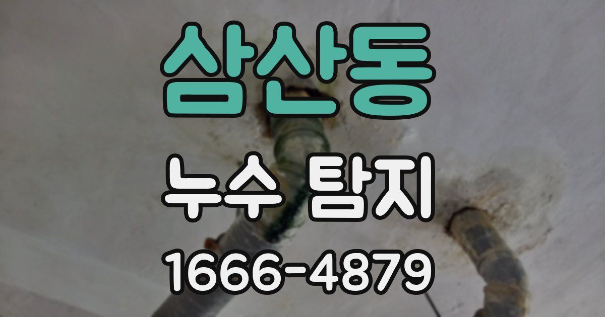 삼산동 누수 탐지