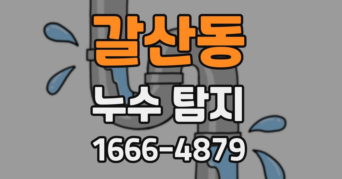 갈산동 누수 탐지