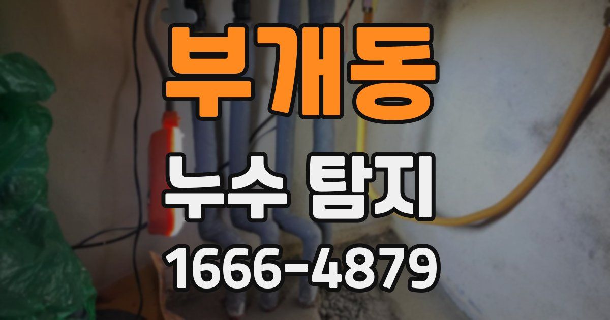 부개동 누수 탐지