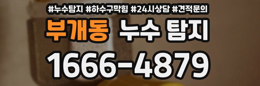 부개동 누수 탐지