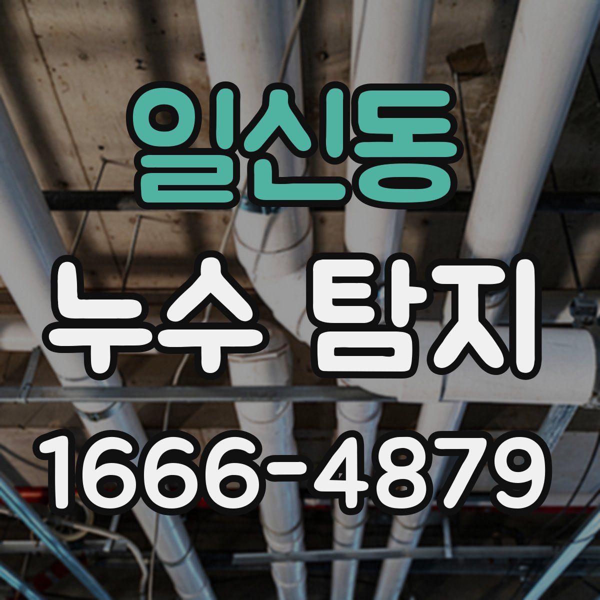 일신동 누수 탐지