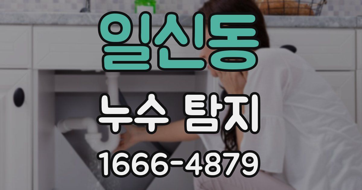 일신동 누수 탐지