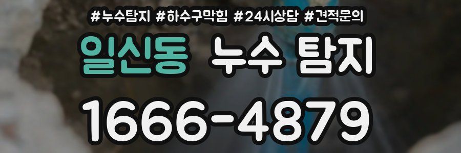 일신동 누수 탐지