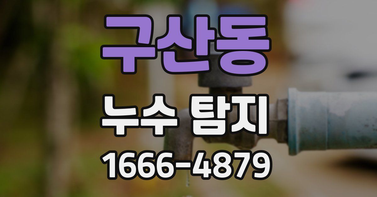 구산동 누수 탐지
