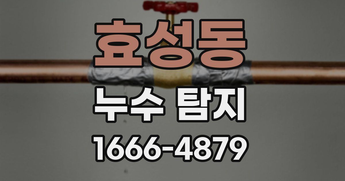 효성동 누수 탐지
