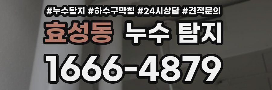 효성동 누수 탐지