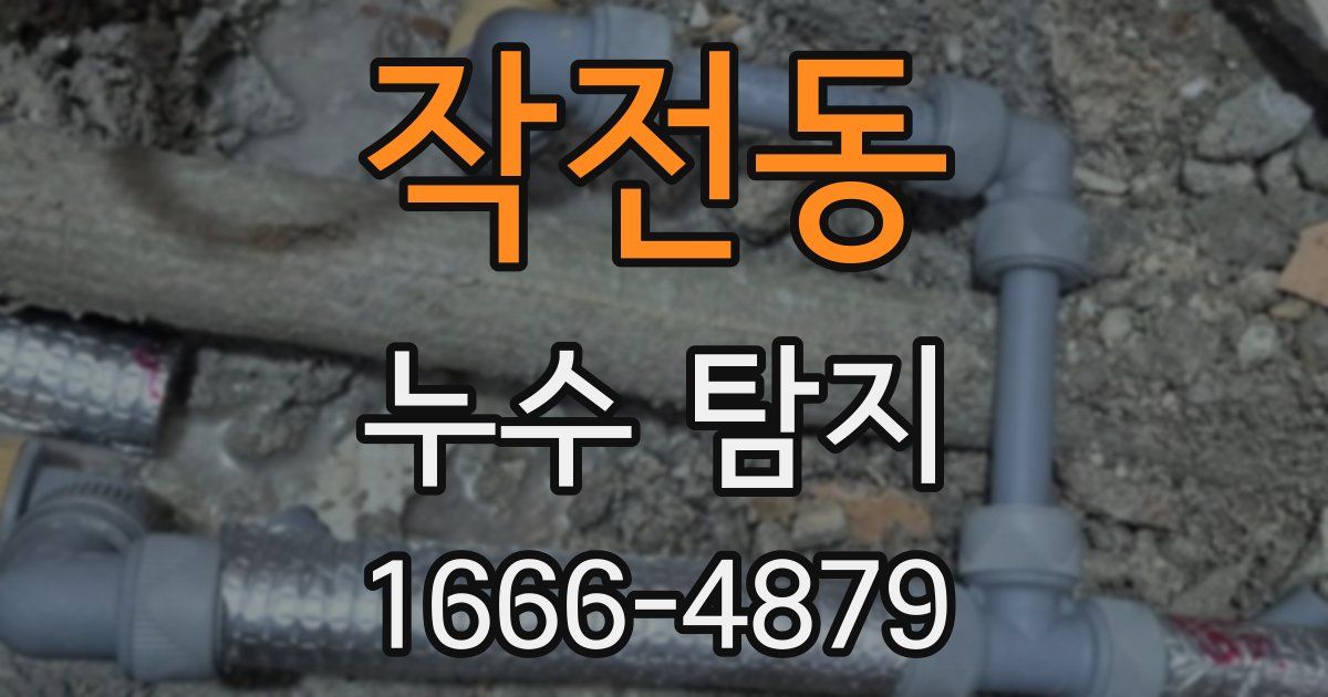 작전동 누수 탐지