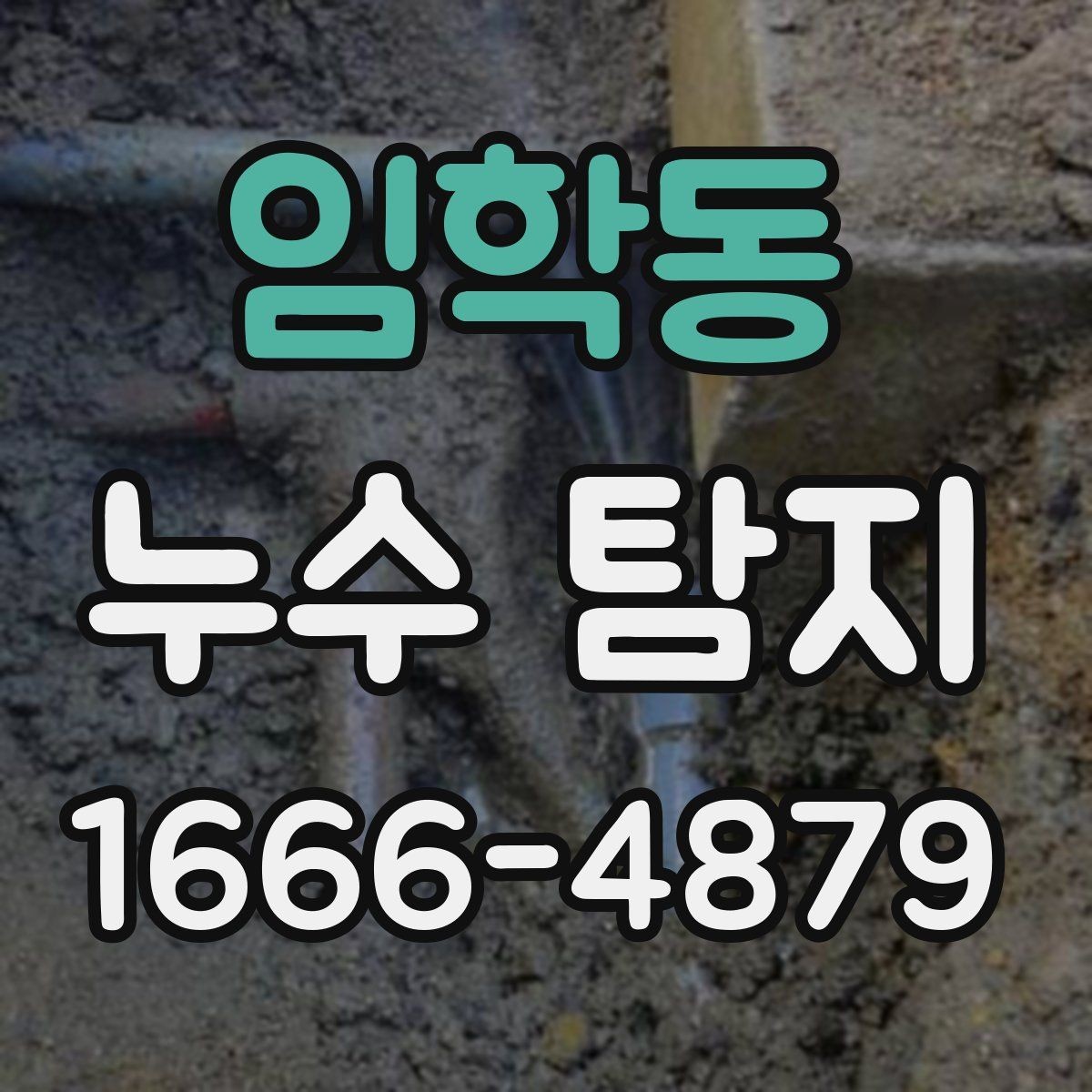 임학동 누수 탐지 작업이 필요한 천장과 벽면 상태
