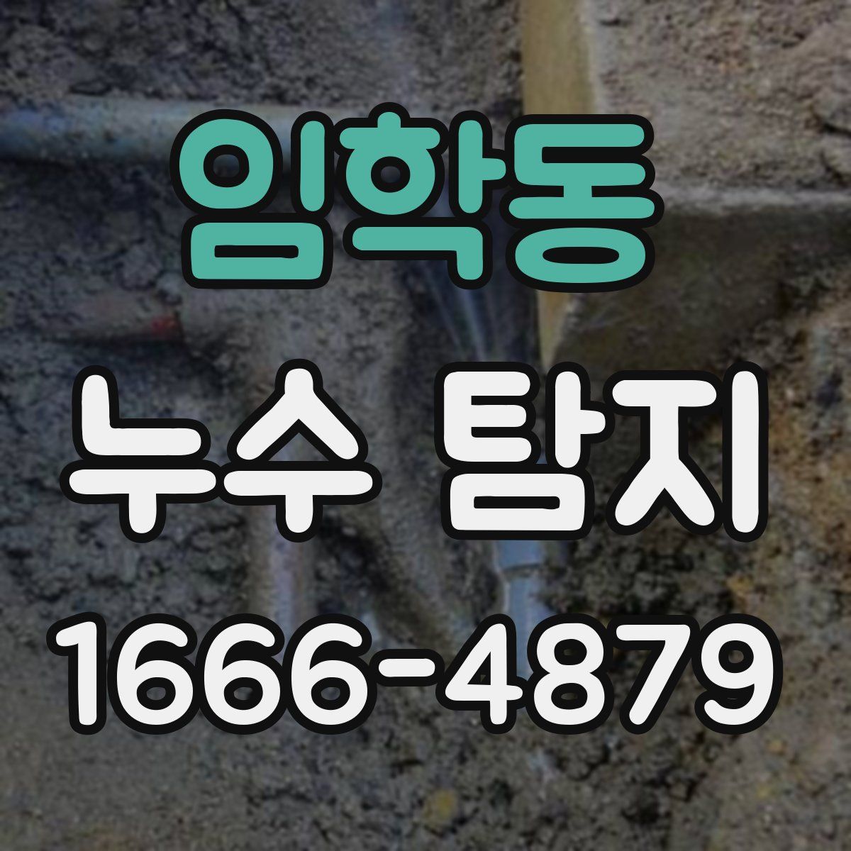 임학동 누수 탐지