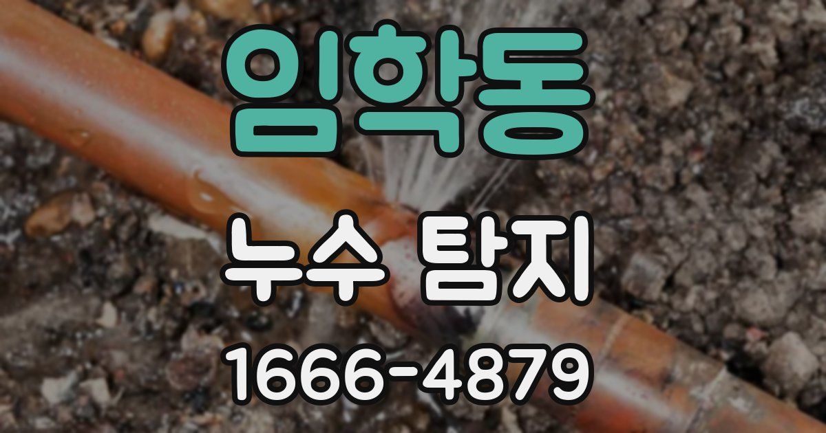 임학동 누수 탐지