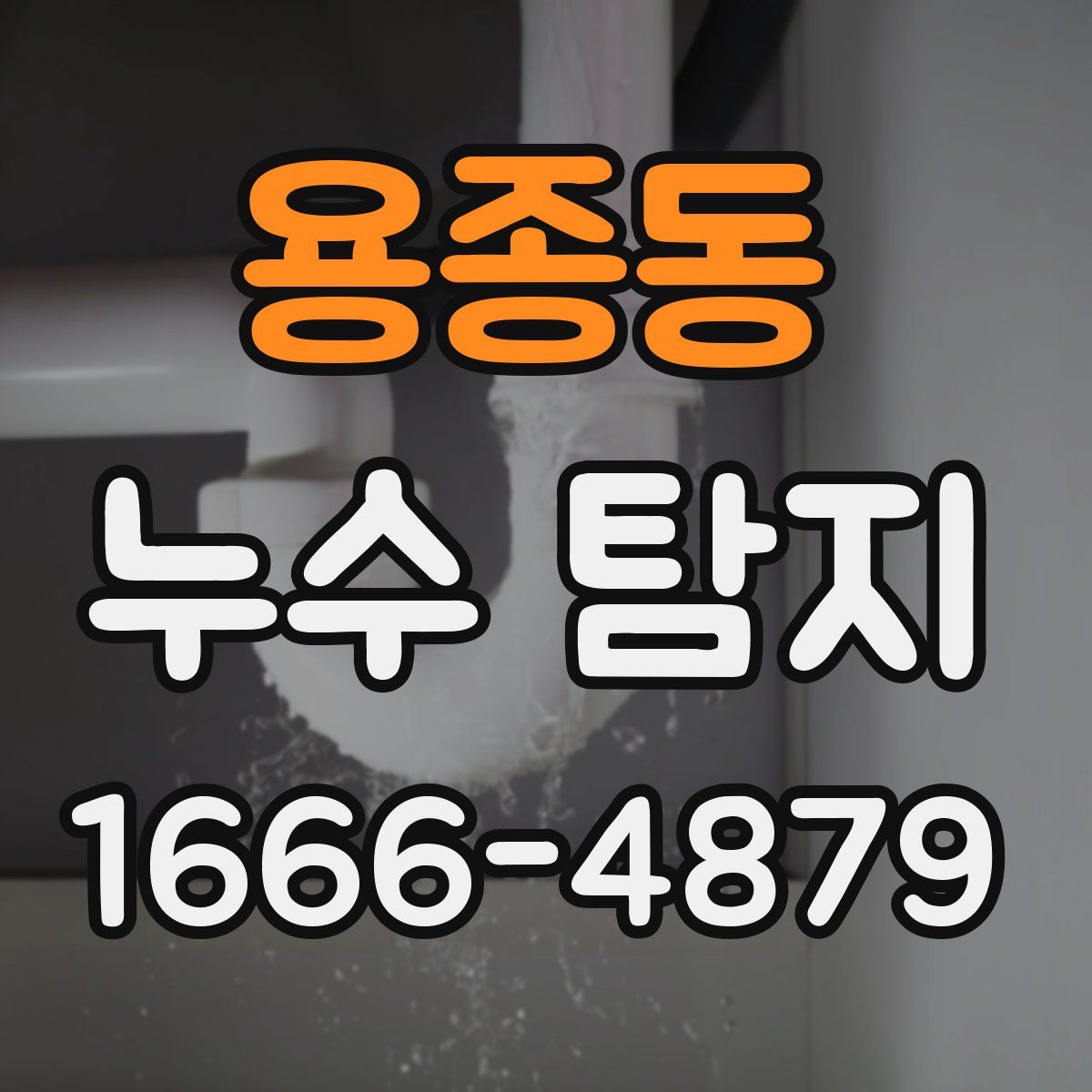 용종동 누수 탐지