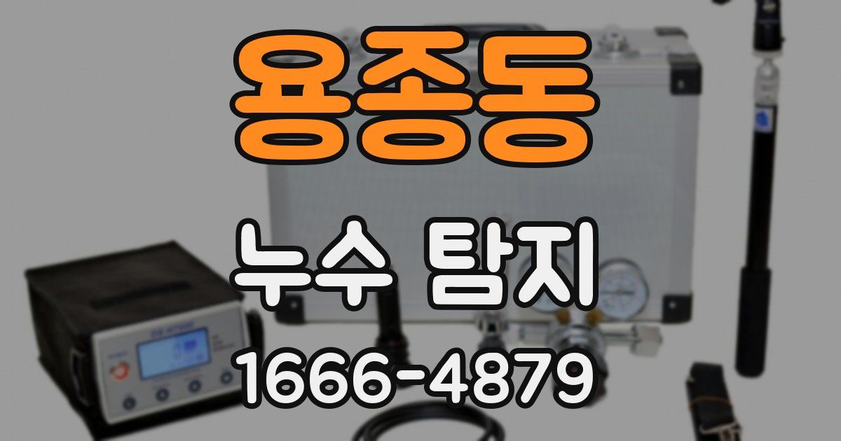 용종동 누수 탐지