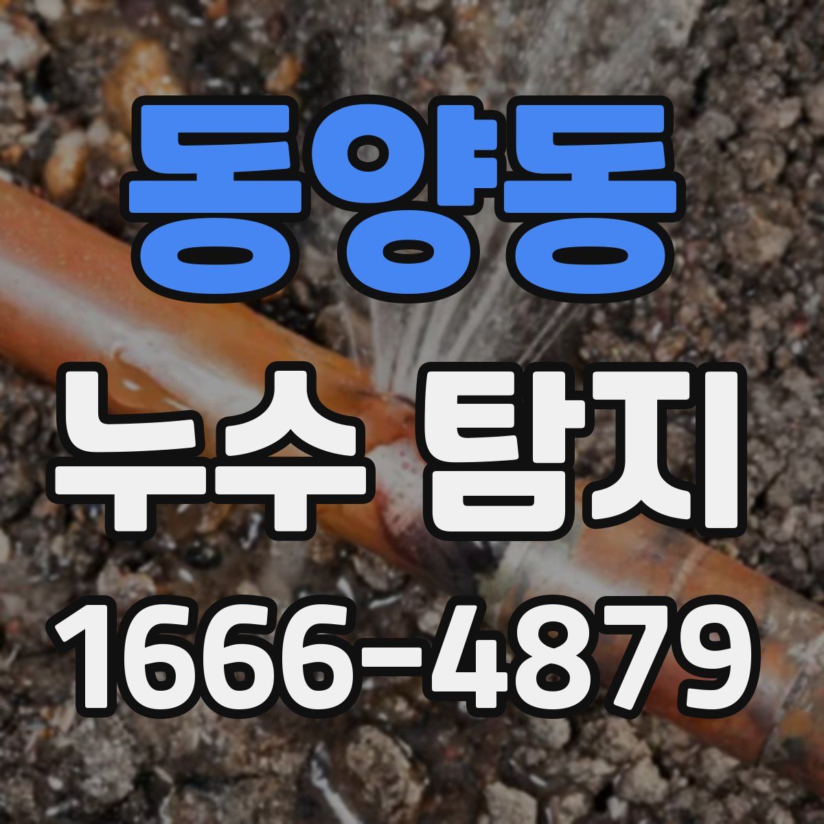 동양동 누수 탐지