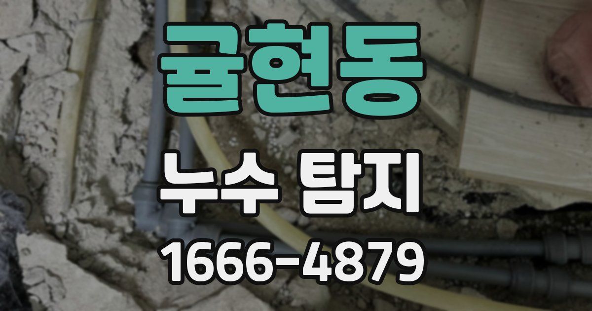 귤현동 누수 탐지