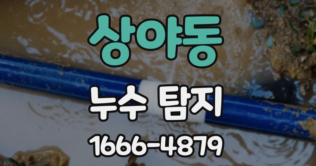 상야동 누수 탐지