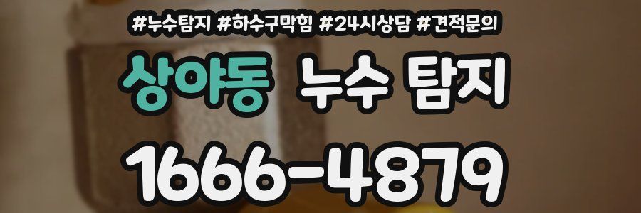 상야동 누수 탐지