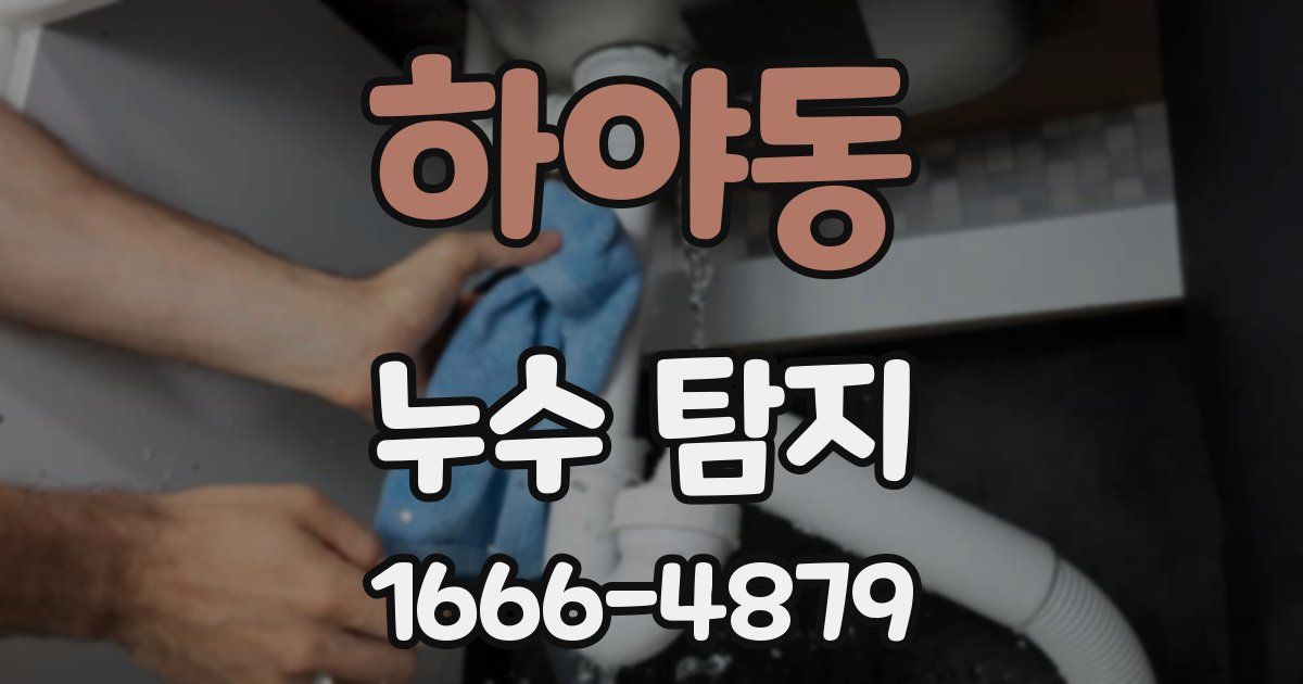 하야동 누수 탐지