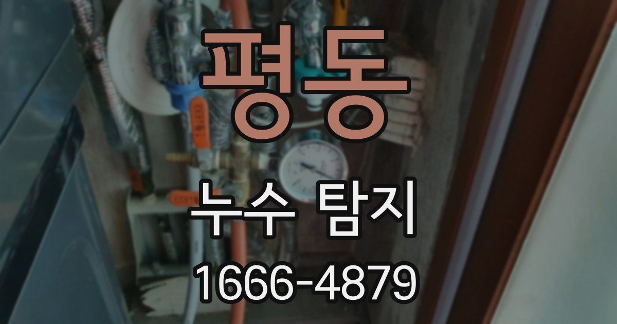 평동 누수 탐지