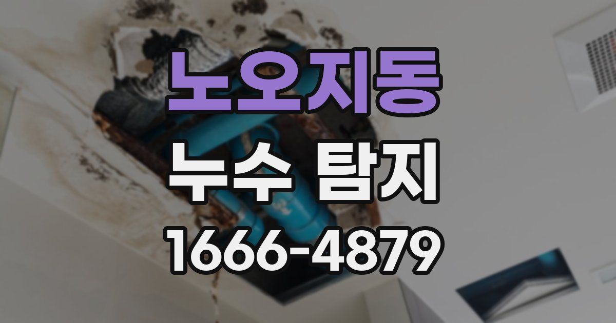 노오지동 누수 탐지