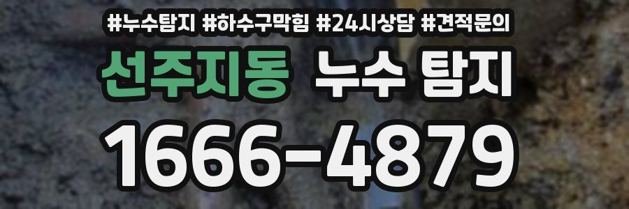 선주지동 누수 탐지