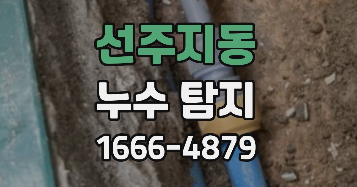 선주지동 누수 탐지
