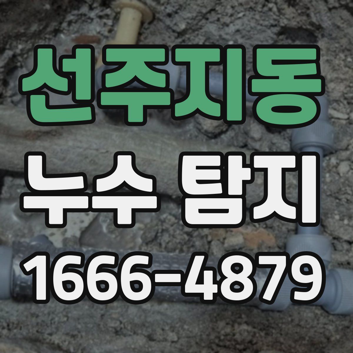 선주지동 누수 탐지