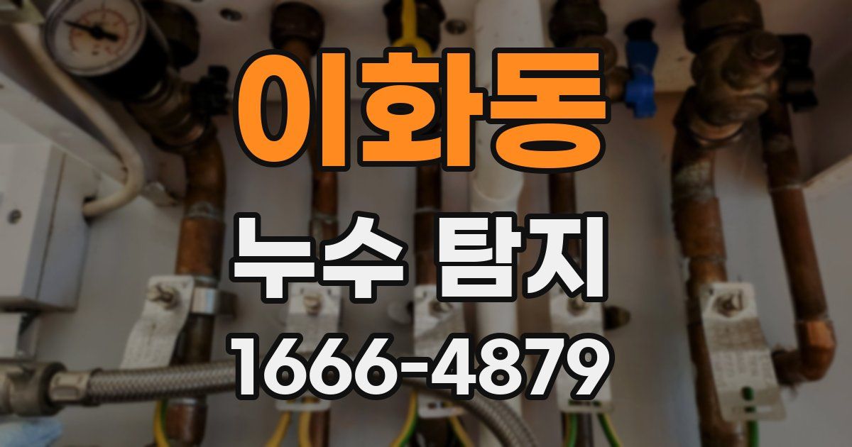 이화동 누수 탐지