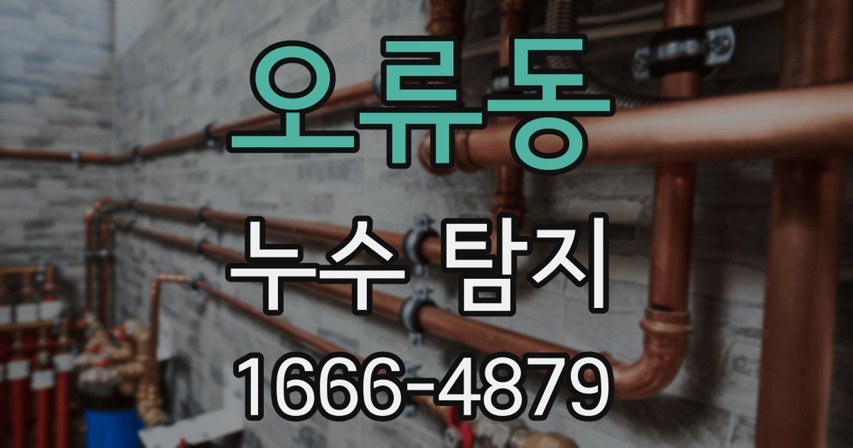 오류동 누수 탐지