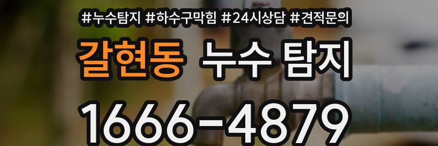 갈현동 누수 탐지